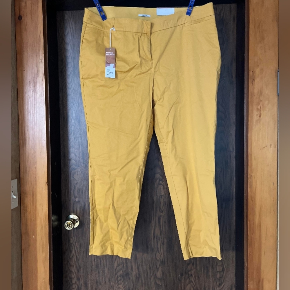 NWT, lane Bryant allie pant